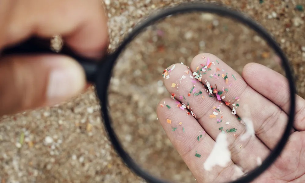 Scientists discover disturbing new side effect of common farming practice — here's what they found