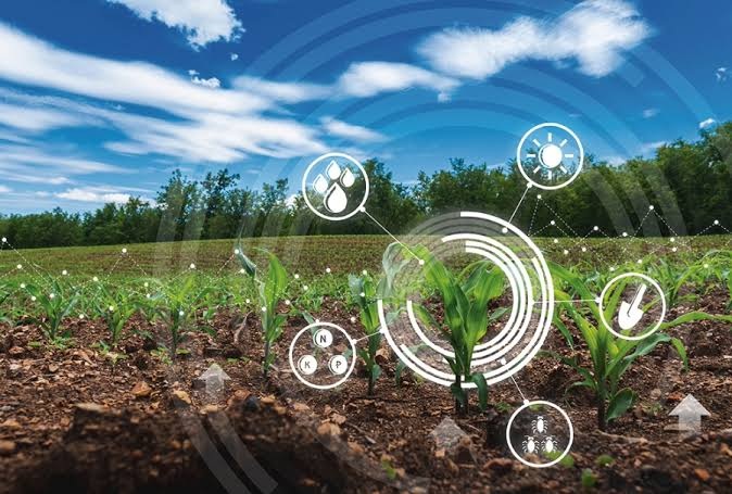 The Missing Half of the Ag-Tech Revolution: Using Soil Data to Finally Give Every Field the Fertilisation It Needs