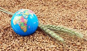 Creating abundance is the foundation of food security