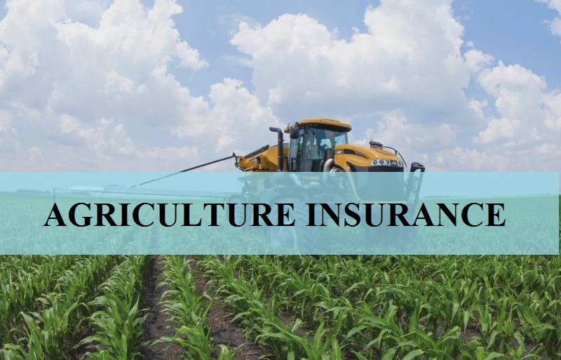 South African Agricultural Insurance Under Pressure as Farmers Face Growing Risks