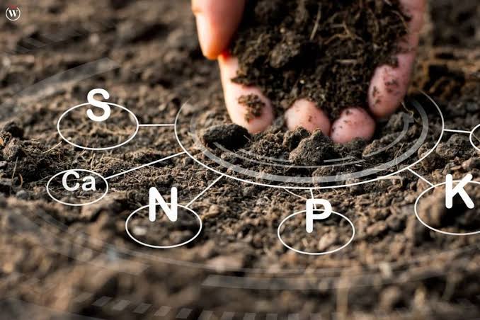 The soil’s early warning system: microbes can predict desertification before plants start to die