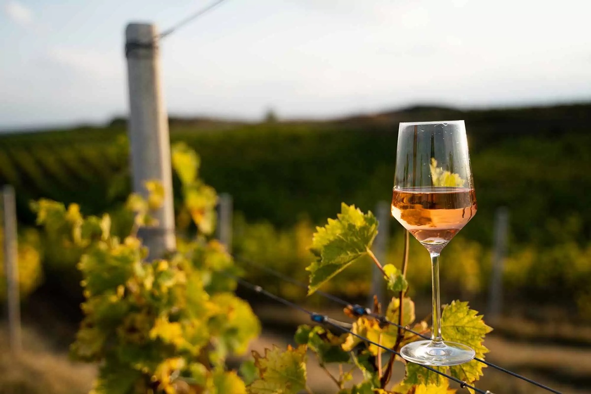 The Science Behind Dry Farming