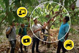 How digitised supply chains can help multiply Africa’s crop yields