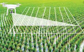 Artificial Intelligence- Technology in Modern Farming