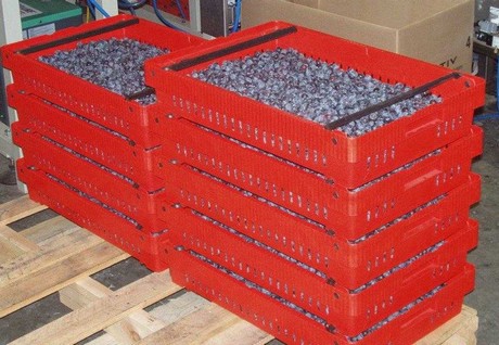 OVERVIEW GLOBAL BLUEBERRY MARKET