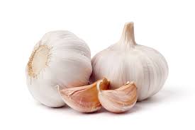 OVERVIEW GLOBAL GARLIC MARKET- April 2019