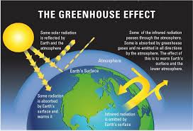 The unbelievably simple way to cut greenhouse gas emissions from the food sector in half