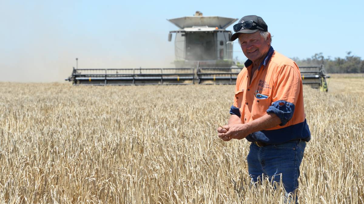 Turning wheat into natural gas- 