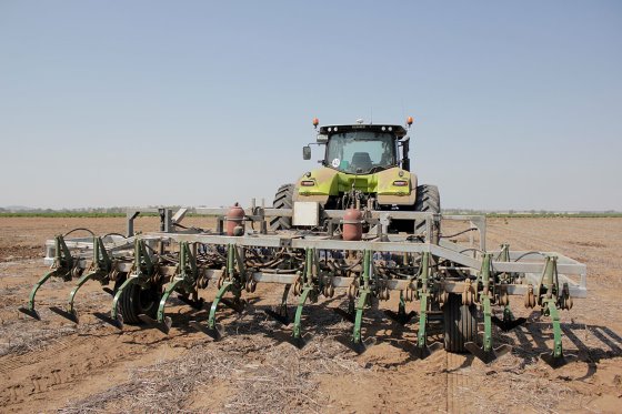 Weed Chipper: mechanical alternative for herbicides