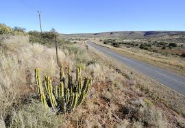 Great Karoo project thriving despite drought- South Africa 