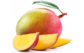 Inaugural season for Brazilian mangoes in South Africa 