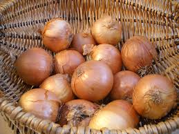 Cape onion harvest starts amid unique marketing season worldwide