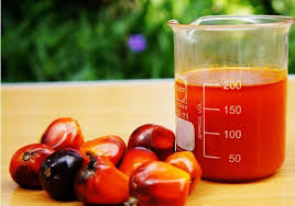 Palm oil became the world's most hated,used fat source