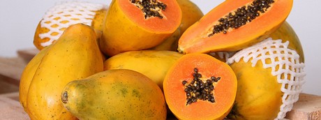 OVERVIEW GLOBAL PAPAYA MARKET- February 2021