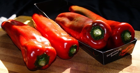 OVERVIEW GLOBAL PEPPER MARKET- 