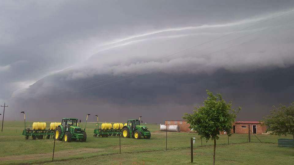 Late rain, late start of South Africa sunflower seed plantings   