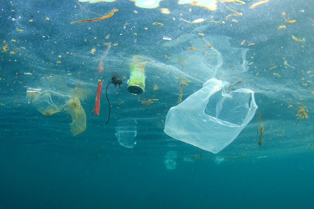 By 2050 there may be more plastic in oceans than fish – UN