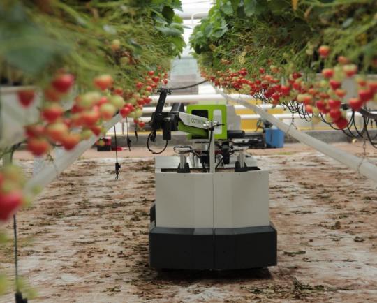 A Growing Presence on the Farm: Robots