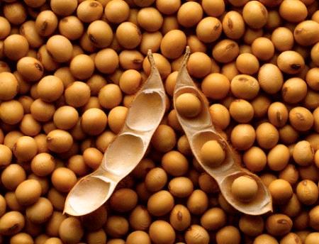 Soybeans surge to near 4-mth high, analysts wary of G20 bounce