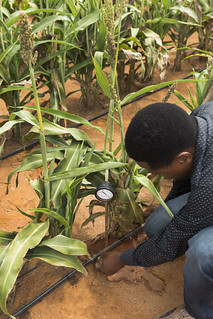  Digital innovations to improve soil health