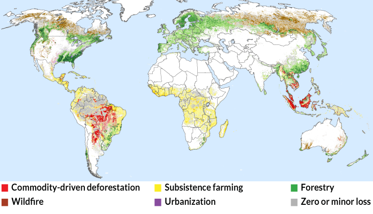 A new map reveals the causes of forest loss worldwide- 