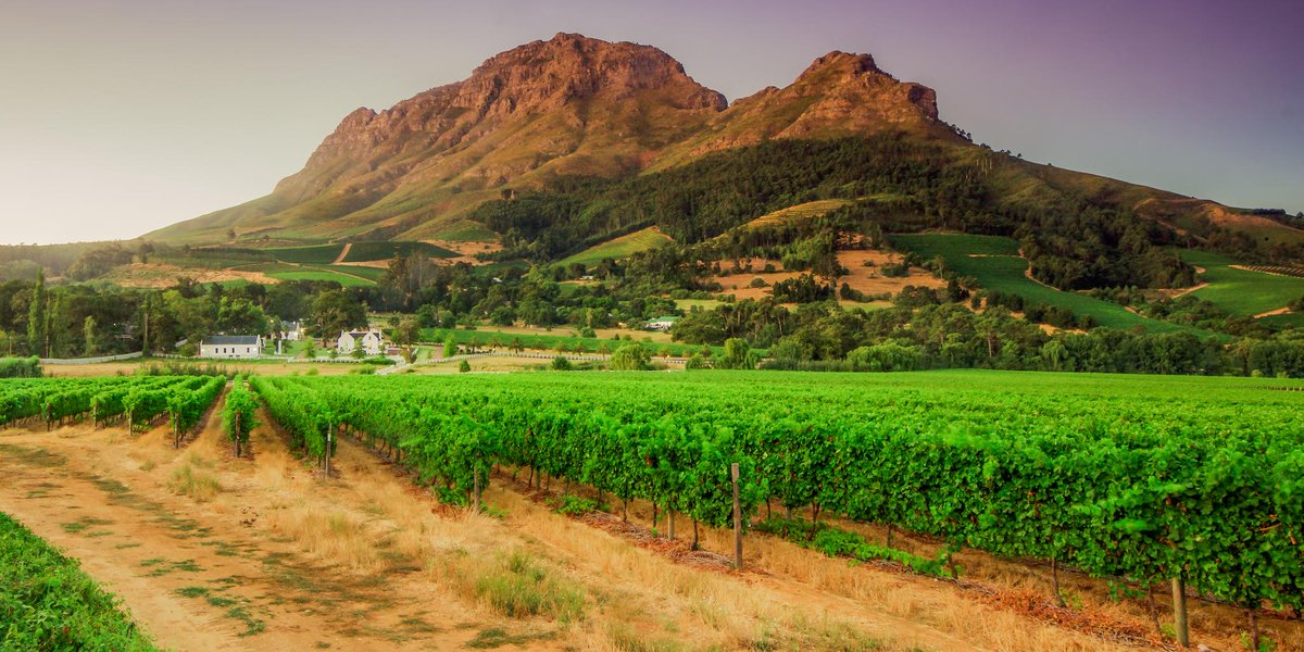 Wine tourism soars to new heights in 2024