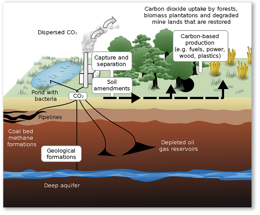 5 REASONS WHY FERTILIZERS ARE KEY FOR TRANSFORMING AGRICULTURE