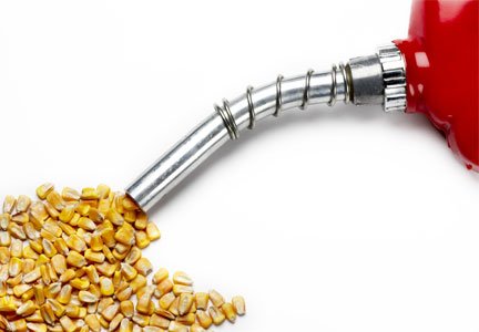 The Truth about Ethanol, Energy Security and World Grain Supplies