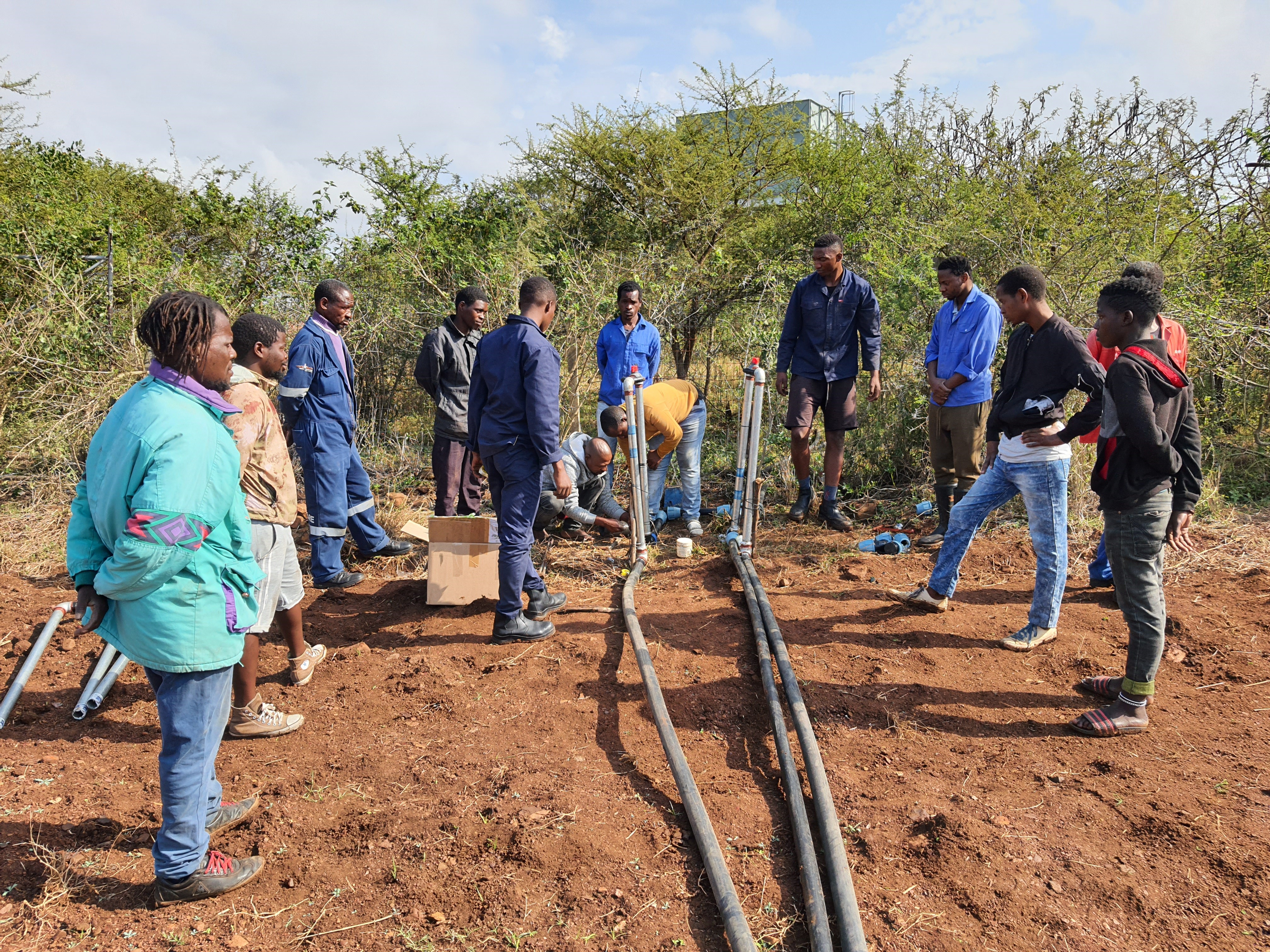 We don’t have jobs’: Post-1996 farmland restitution projects sow a costly legacy of failure