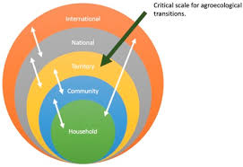 The 10 elements of agroecology are meant to guide us toward the transition to sustainable food and agricultural systems.