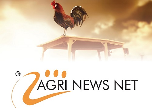 South Africa -Weeklikse Landbou Nuusoorsig -  Weekly Agriculture News Summary 30th  November 2022  