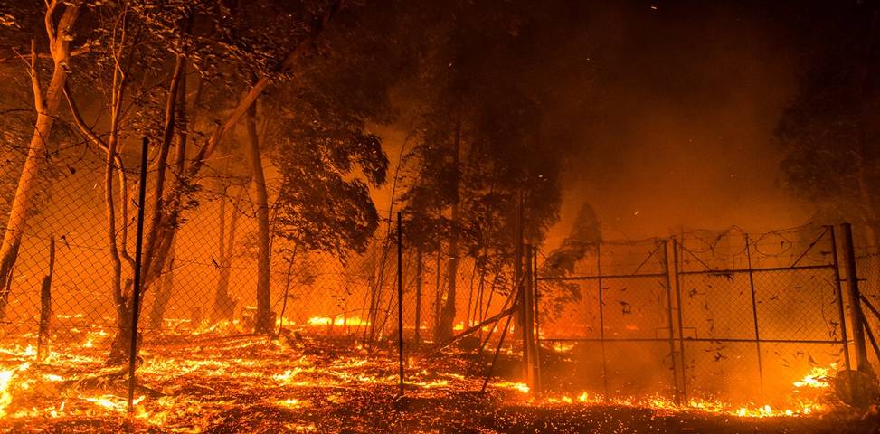 After the smoke clears, a wildfire’s legacy can haunt rivers for years, putting drinking water at risk