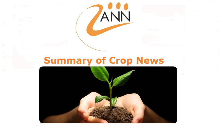 South African Agricultural Commodities Weekly Wrap