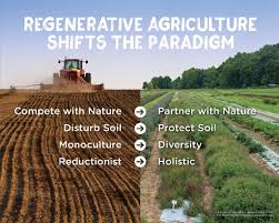 Regenerative agriculture: how it works on the ground