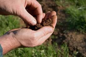 What is soil organic matter?