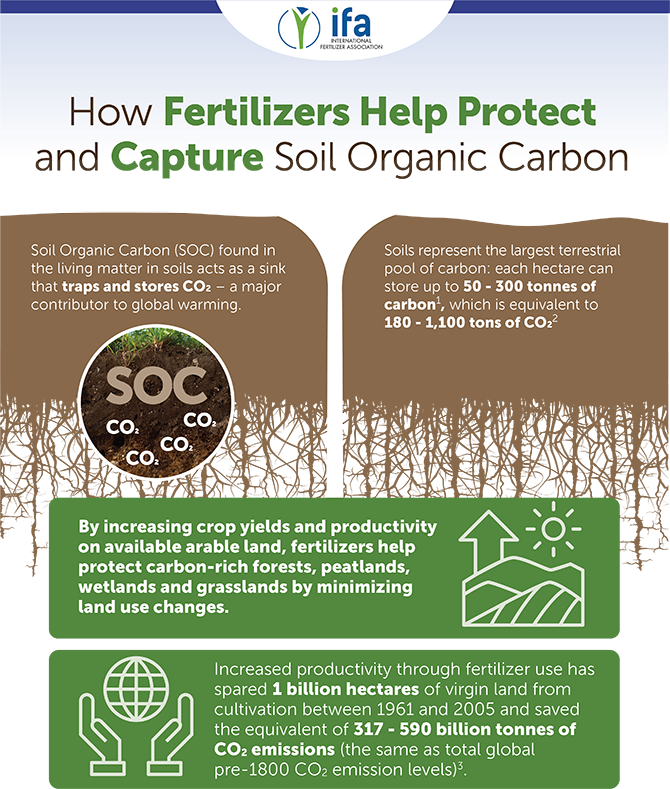 How fertilizers help protect and capture soil organic carbon