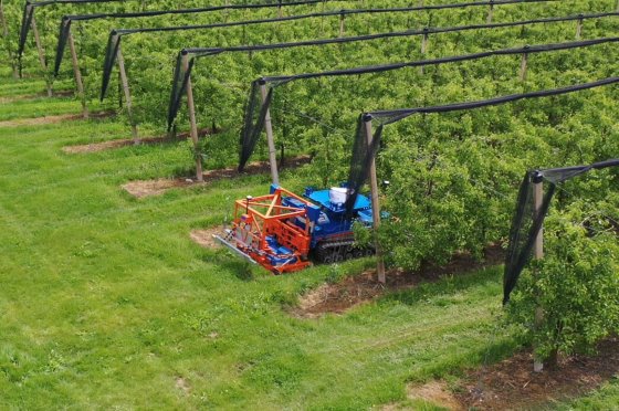 Stuck between vine and wallet: The cost of modern wine farming on the farmer
