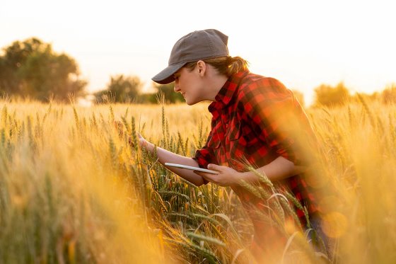 What’s Old is New Again: Harvesting Ancient Grains in F&amp;B